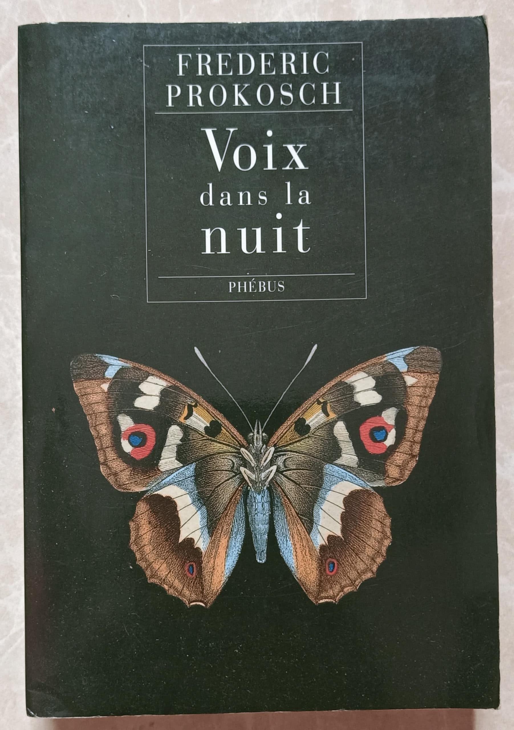 Voix dans la nuit