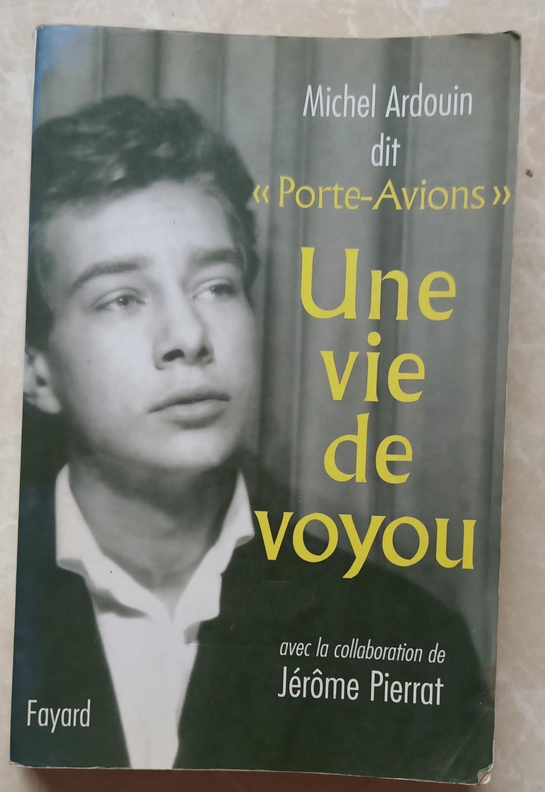 Une vie de voyou